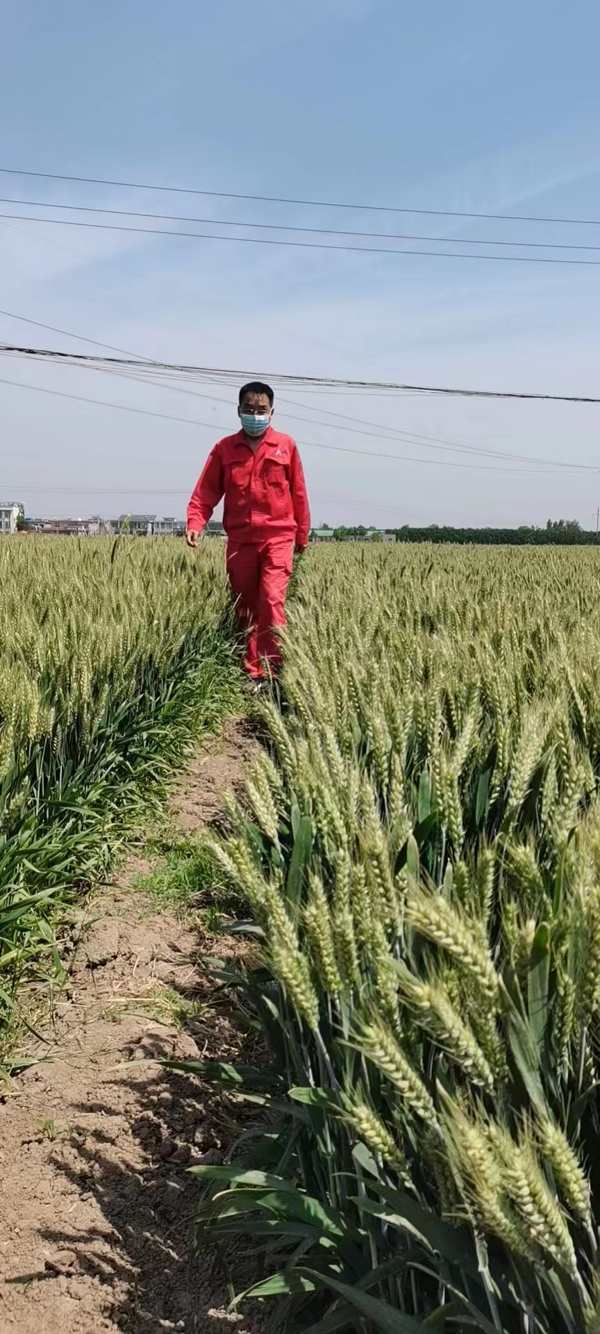 用心守護(hù)管道安全，全力保障豫北能源“生命線”——安彩能源開展安全檢查百里行主題黨日活動(dòng)